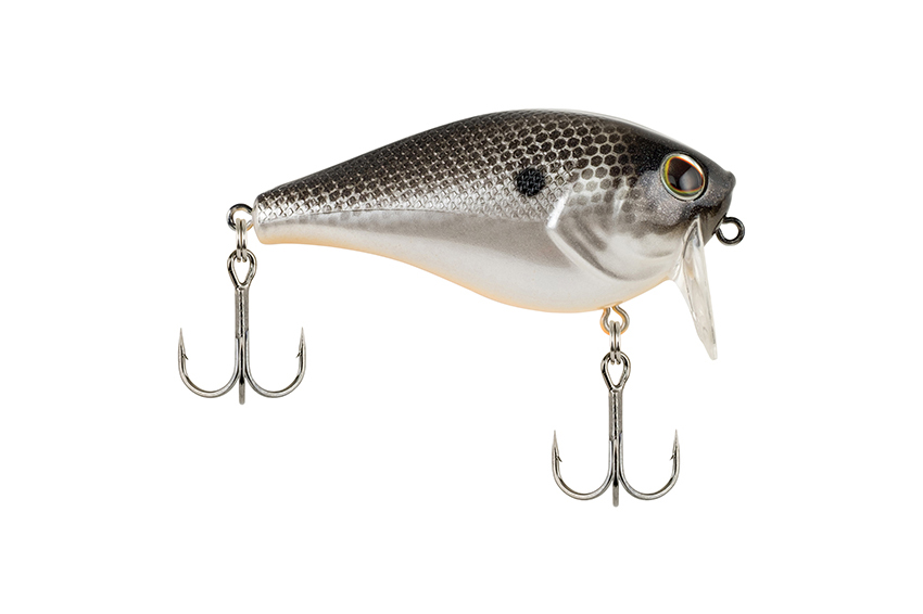 Berkley WakeBull 60