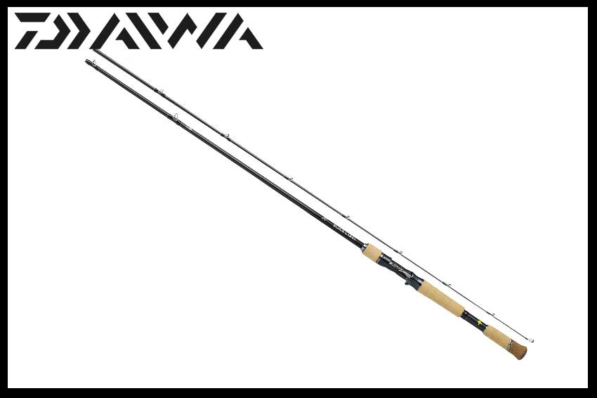 Canna Daiwa Black Label SG Casting