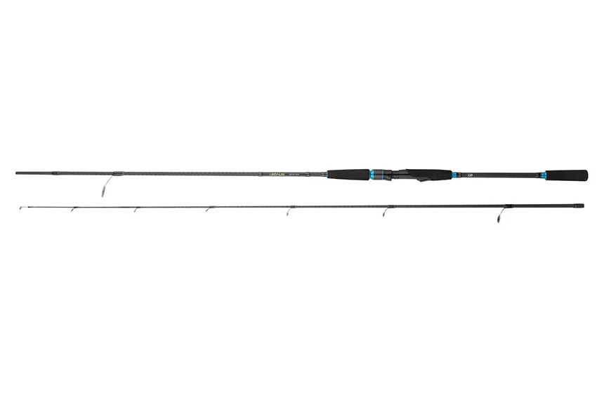 CANNA DAIWA 20 LEGALIS SQUID