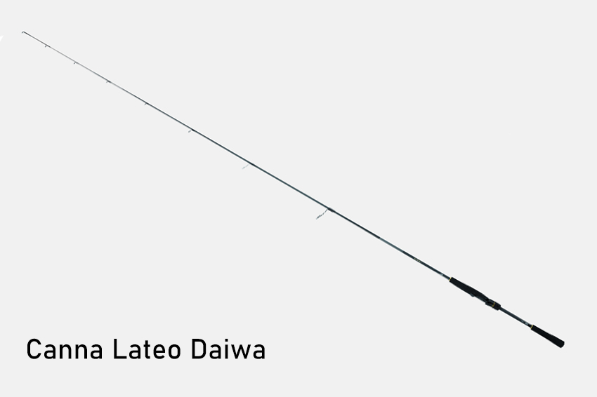 Canna Lateo Daiwa