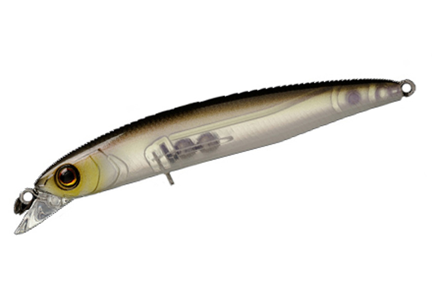 COLTMINNOW