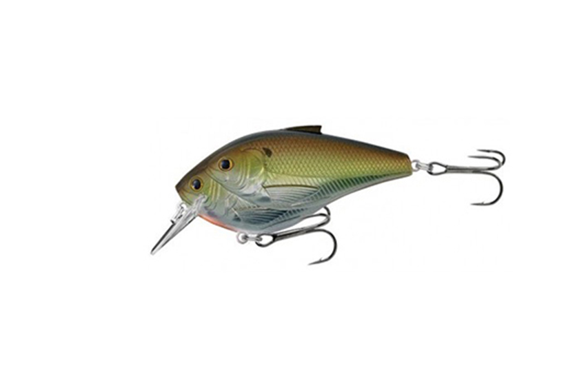 Live Target Shad Magnum Squarebill 85