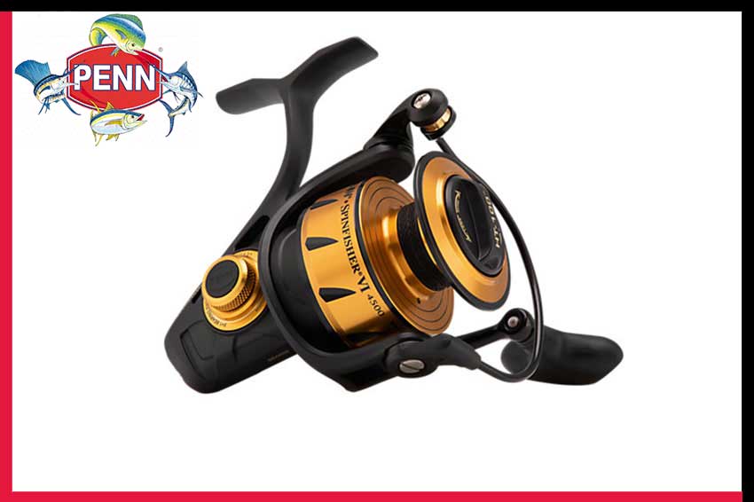 Mulinello Penn Spinfishier VI