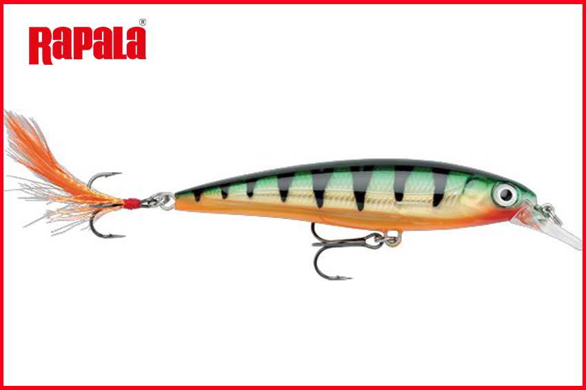 RAPALA X-RAP 100mm 13gr