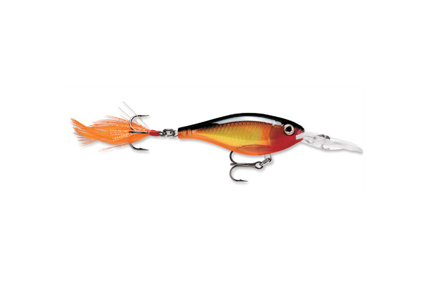 RAPALA X-RAP SHAD 80mm 14gr