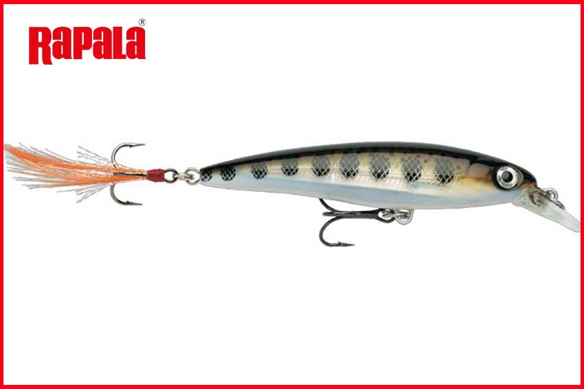 RAPALA X-RAP 60mm 4gr