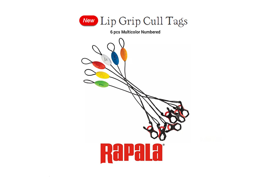 Lip Grip Cul Tags