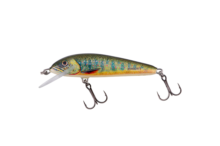 Salmo Minnow Sinking 50mm 5gr