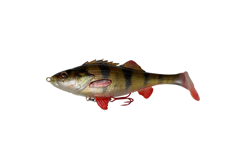 SG 4D Perch Shad