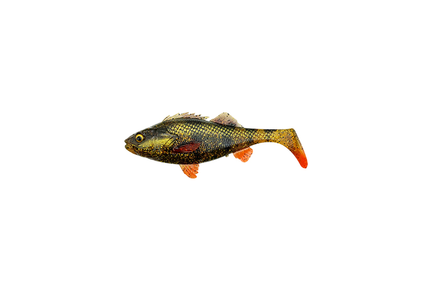 SG 4D Perch Shad