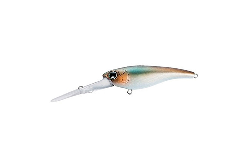 SHIMANO BANTAM PAVLO SHAD 59SP MR