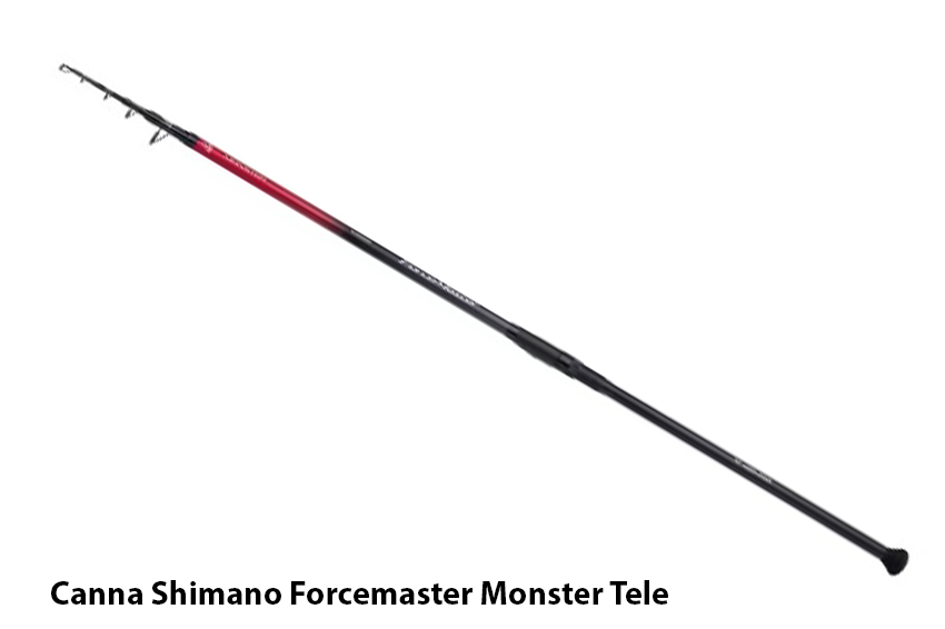 Canna Shimano Forcemaster Monster Tele