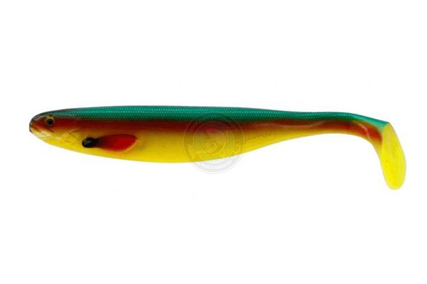 Shad Teez 22cm Parrot Special