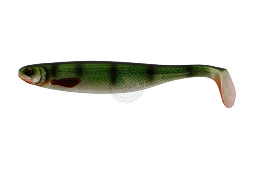 Shad Teez 22cm Wow Perch